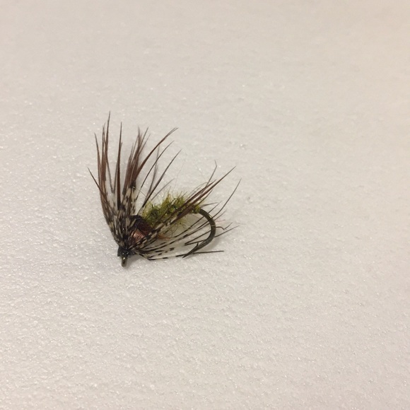 Fly, nymph pattern - Picture 2 of 3